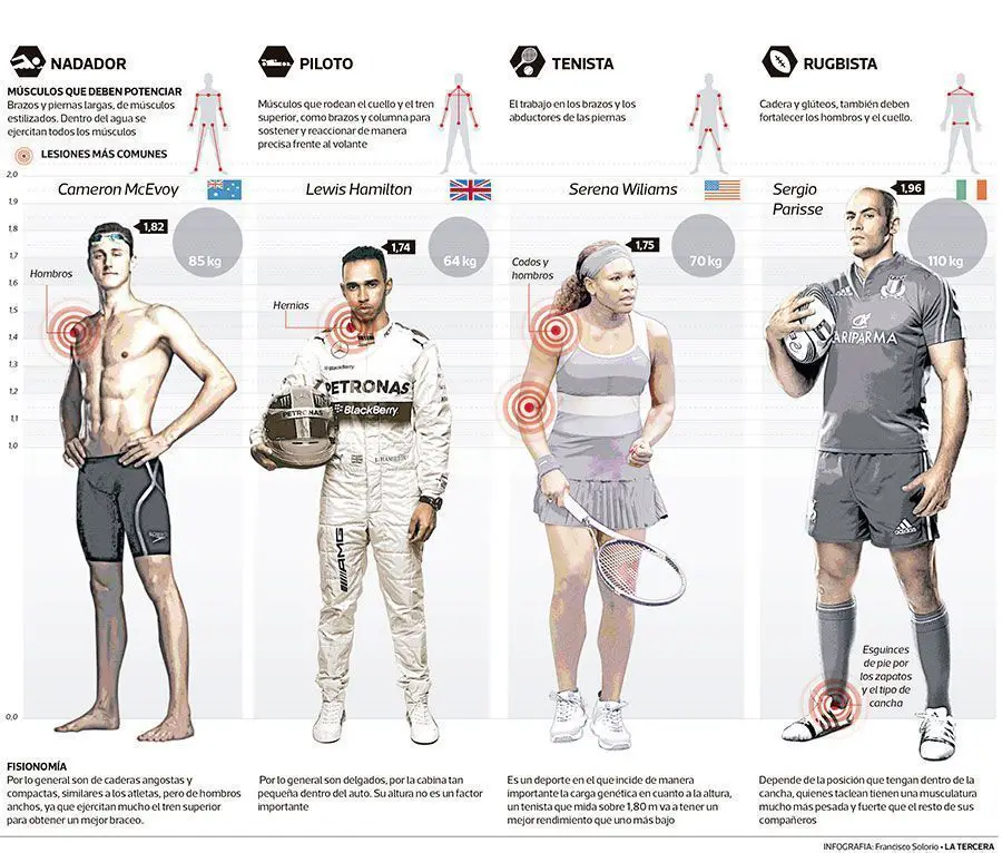 Métodos de entrenamiento: Objetivos, Somatotipo y Genética 6 Fisonomía en el deporte