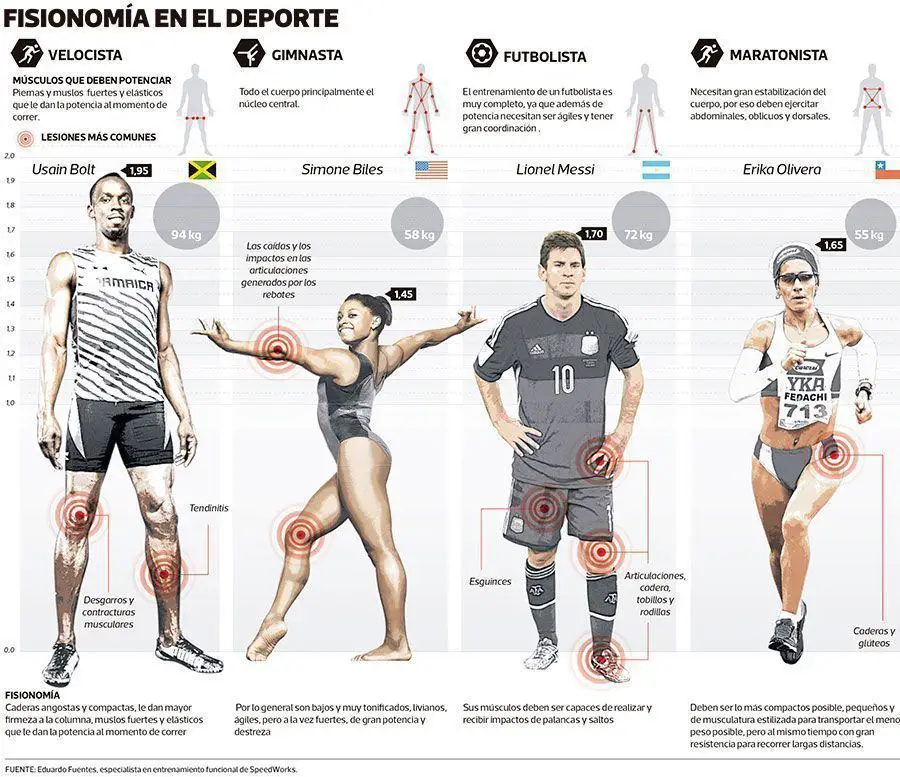 Métodos de entrenamiento: Objetivos, Somatotipo y Genética 5 Fisonomía en el deporte