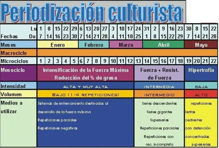 Métodos de entrenamiento: Objetivos, Somatotipo y Genética 4 Ejemplo periodización entrenamiento culturista