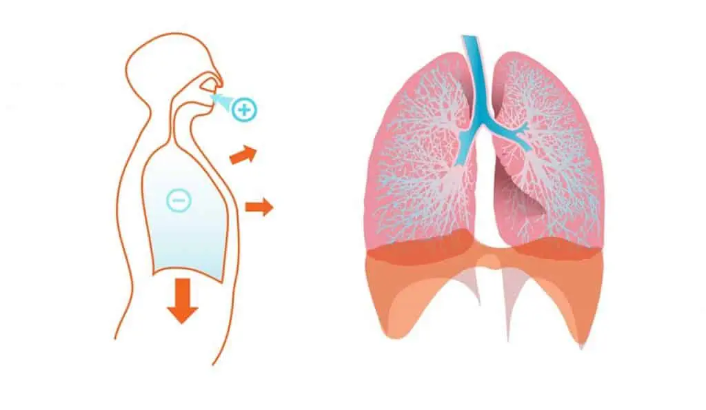 Como aumentar los niveles máximos de VO2peak 4 Como aumentar los niveles máximos de VO2peak