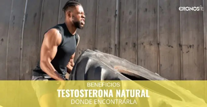 Beneficios de la testosterona natural 2 Testosterona natural