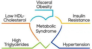 Factores de Riesgo Cardiovascular 5 Síndrome metabólico
