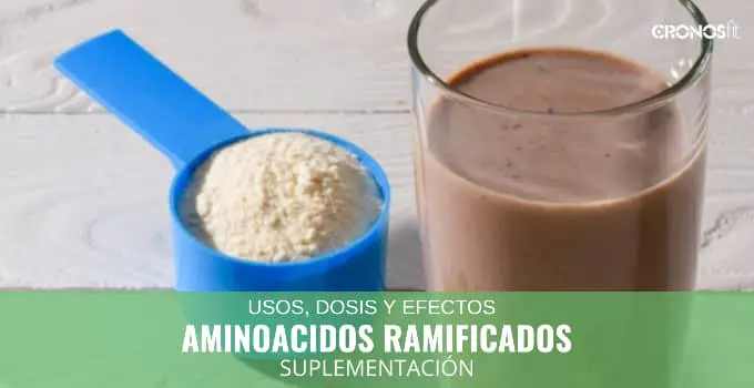 Aminoácidos Ramificados en Nutrición Deportiva 9 Aminoácidos ramificados