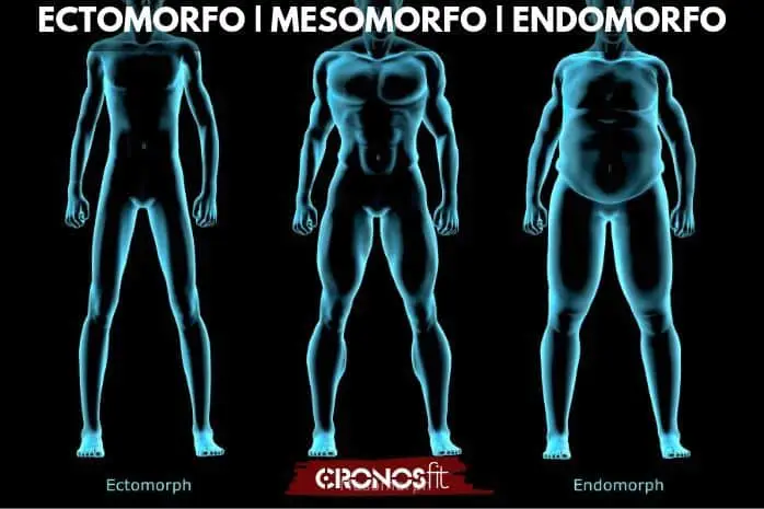 Cuantas REPETICIONES de Ejercicios para: VOLUMEN, DEFINICIÓN o FUERZA 12 Tipos de somatotipos fitness