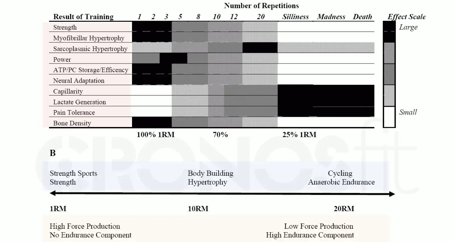 Cuantas REPETICIONES de Ejercicios para: VOLUMEN, DEFINICIÓN o FUERZA 9 cuantas repeticiones de ejercicios