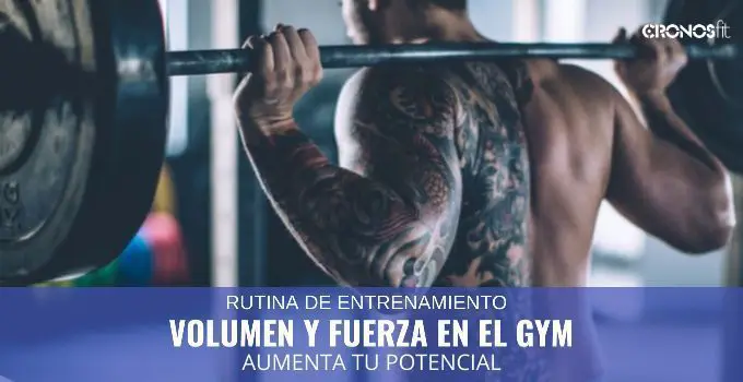 Rutinas de GIMNASIO 64 Rutinas de GIMNASIO 8