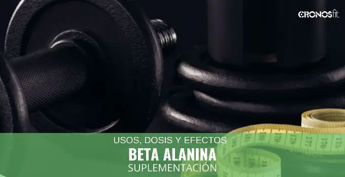 Beta Alanina: Usos, Dosis y Efectos 42 beta alanina suplementación deportiva