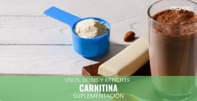 Carnitina: Usos, Dosis y Efectos 9 carnitina suplemento deportivo
