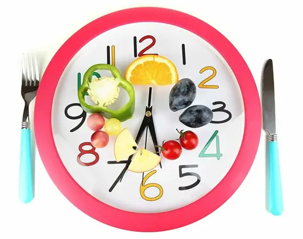 ¿Existe una frecuencia de comidas predeterminada? 4 Horario Comidas