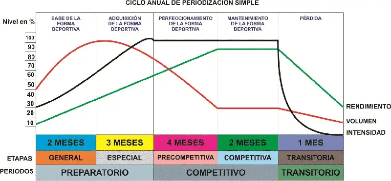 Planificación del entrenamiento 6 Esquema Planificación Deportiva