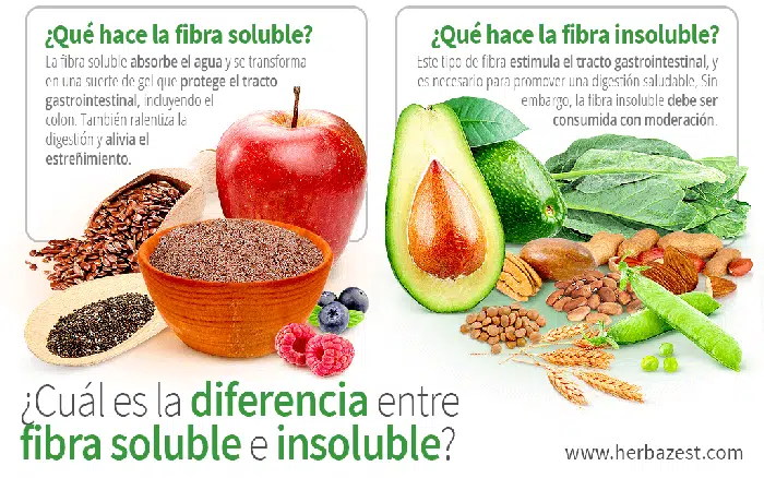 Qué es la Fibra 6 Diferencia entre Fibra Soluble e Insoluble