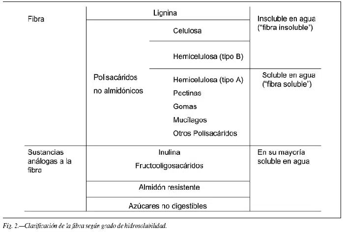 Qué es la Fibra 5 Tipos de fibra