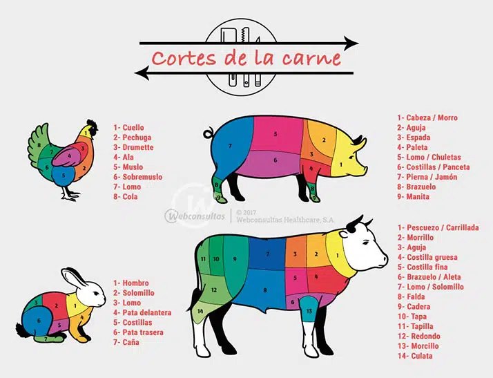 Tipos de Carne 6 Tipos de corte para la carne
