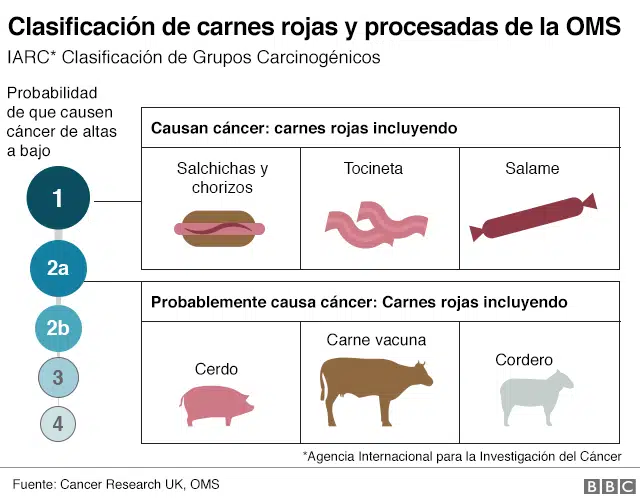 Tipos de Carne 7 tipos de carne roja y cáncer