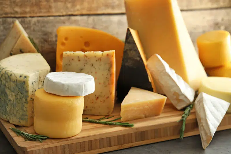Todo sobre el Queso 5 Tipos de quesos