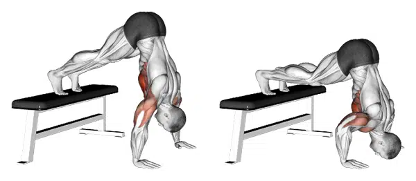 Flexiones en Pika o Pike Push up 5 Pike push up sobre banco