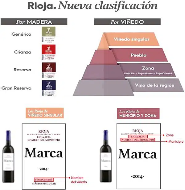Vino y Salud Cardiovascular 4 Tipos de vino Rioja