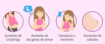 Ejercicio para Embarazadas durante el Segundo Trimestre 5 Síntomas embarazo segundo trimestre