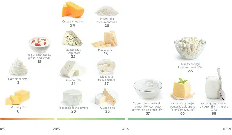 Guía Nutricional sobre la Leche y lácteos 4 Lácteos y cantidad de proteínas