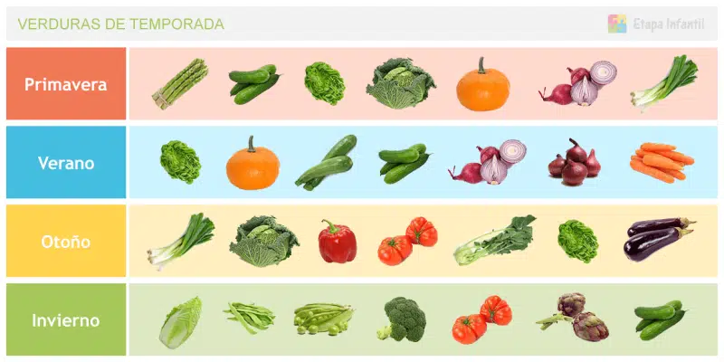 Guía Nutricional sobre las Verduras 5 Verduras de temporada