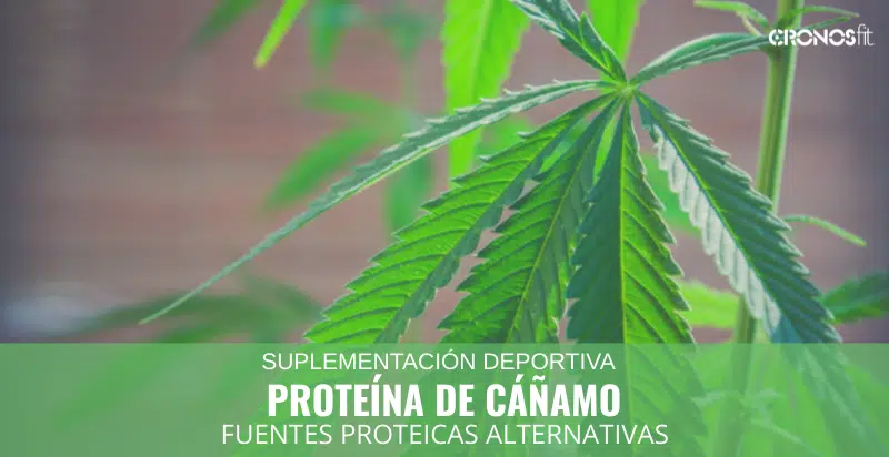 Proteína de cáñamo 16 Proteína de cáñamo 3