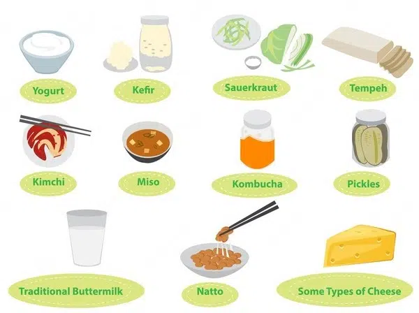 Microbiota y Probióticos 4 microbiota y alimentos probioticos