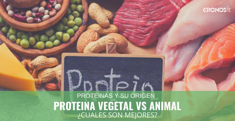 Diferencia entre proteína animal y vegetal 14 Proteína vegetal vs animal