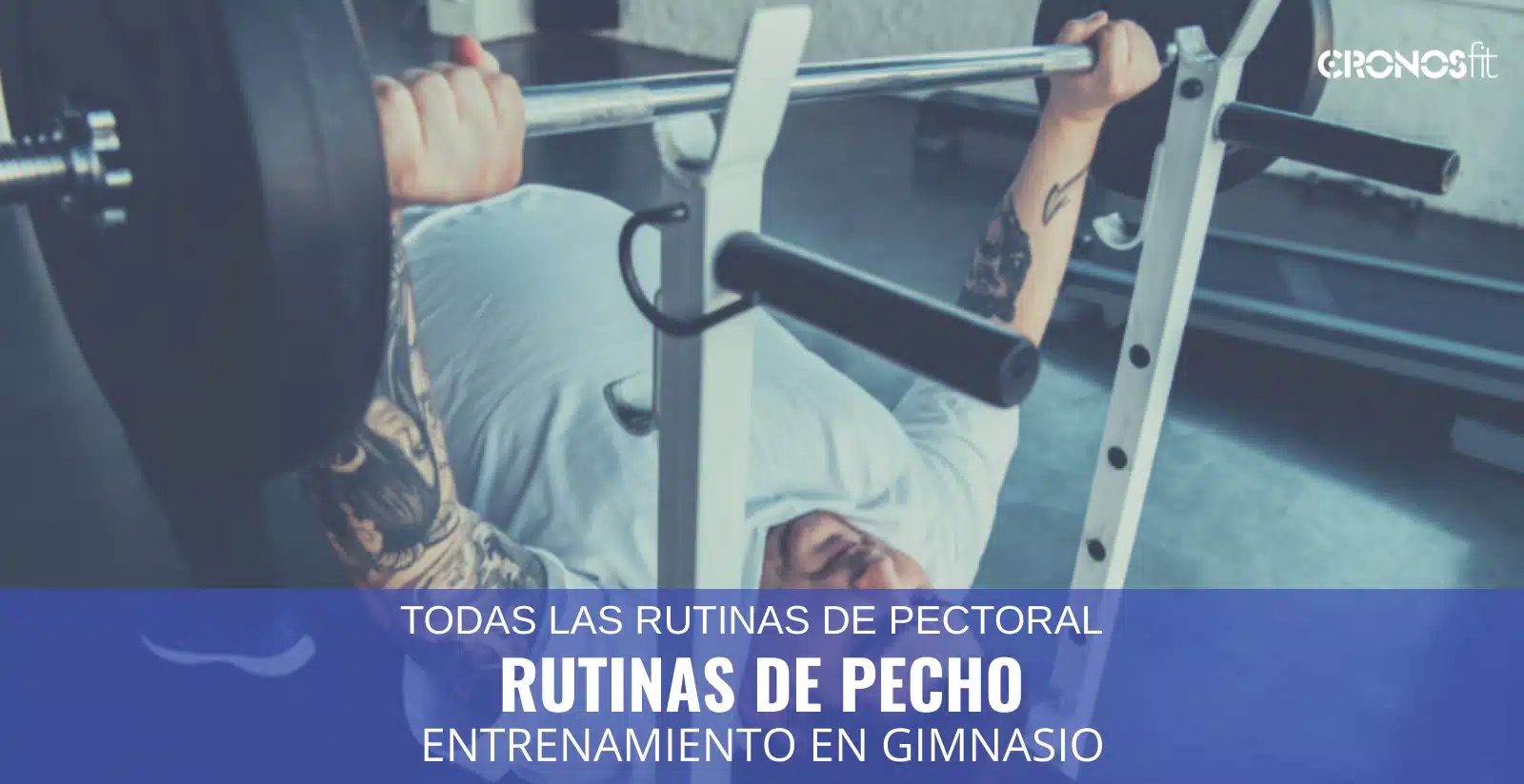 Rutinas de Pecho para Gimnasio 14 Todas las Rutinas de Pecho