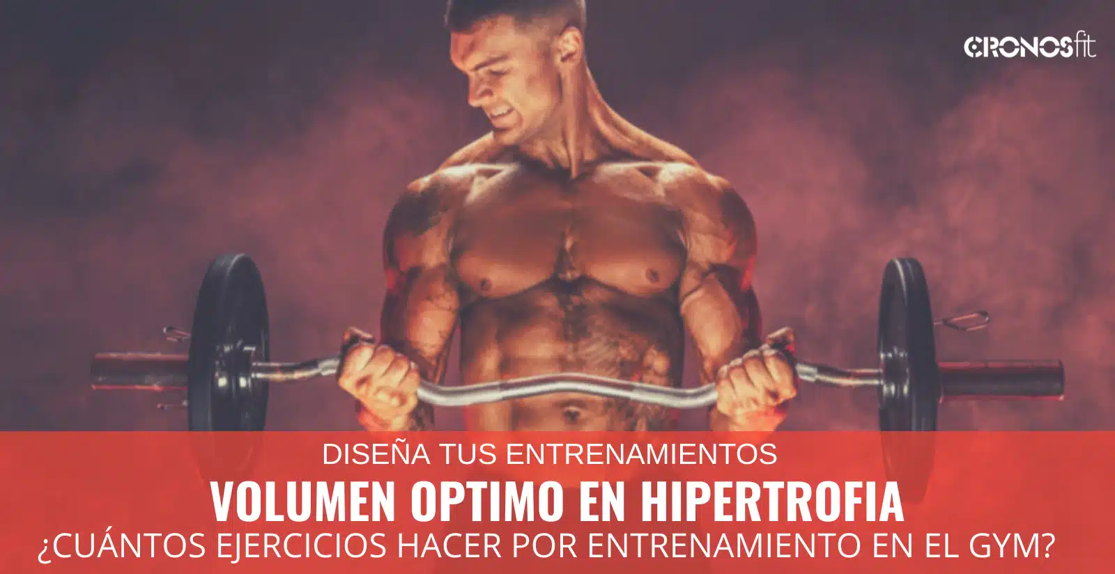 ¿Cuántos ejercicios hacer por entrenamiento en el gimnasio? 5 ¿Cuántos ejercicios hacer por entrenamiento en el gimnasio? 2