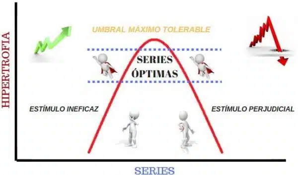 ¿Cuántos ejercicios hacer por entrenamiento en el gimnasio? 6 Series optimas