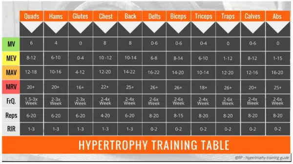 ¿Cuántos ejercicios hacer por entrenamiento en el gimnasio? 8 volúmenes en hipertrofia