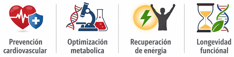 Salud Metabólica & Longevidad para Padres con Vida Exigente 3