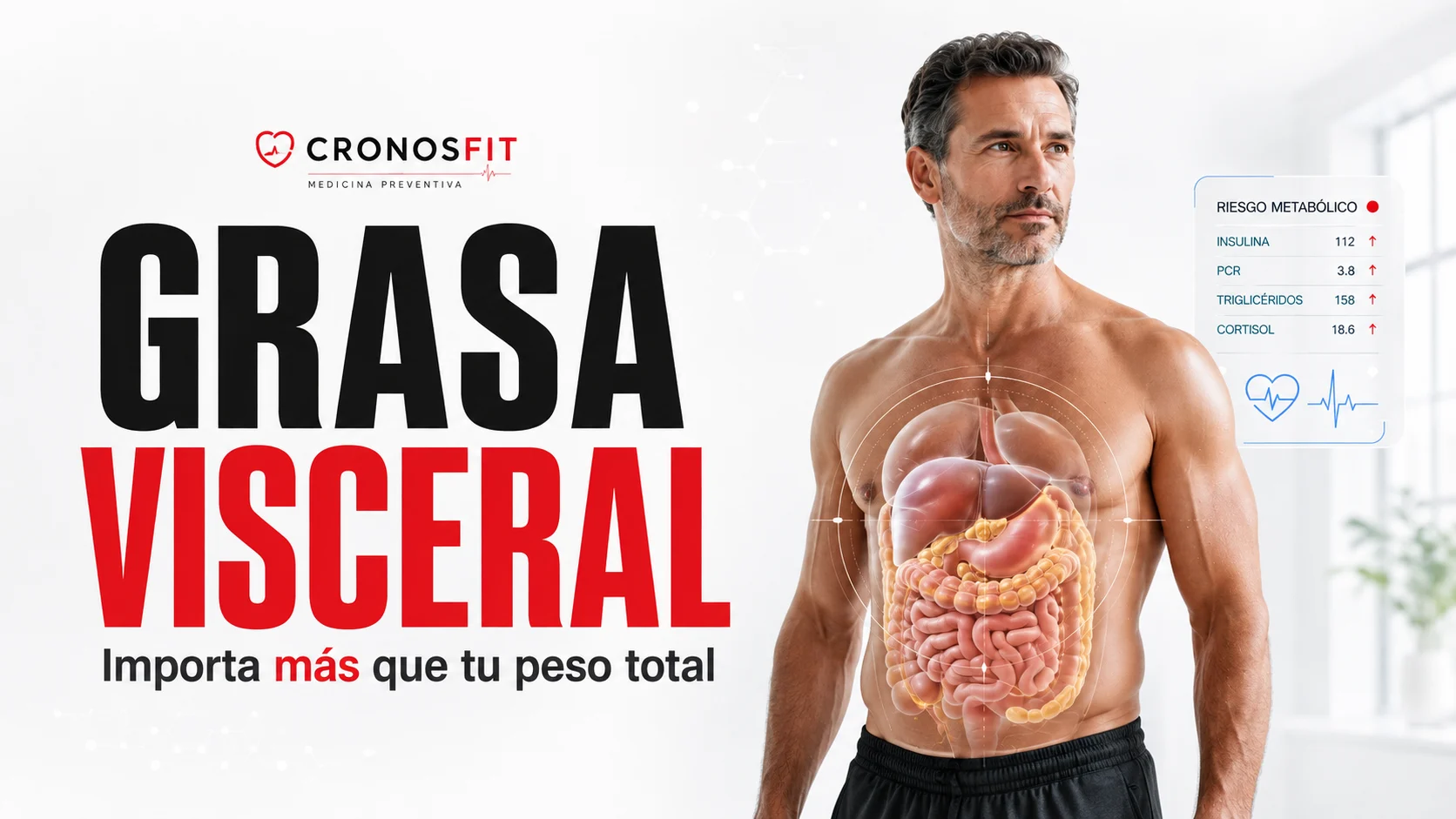 Grasa visceral vs peso total: El verdadero peligro metabólico 3 Grasa Visceral Peligro Metabólico